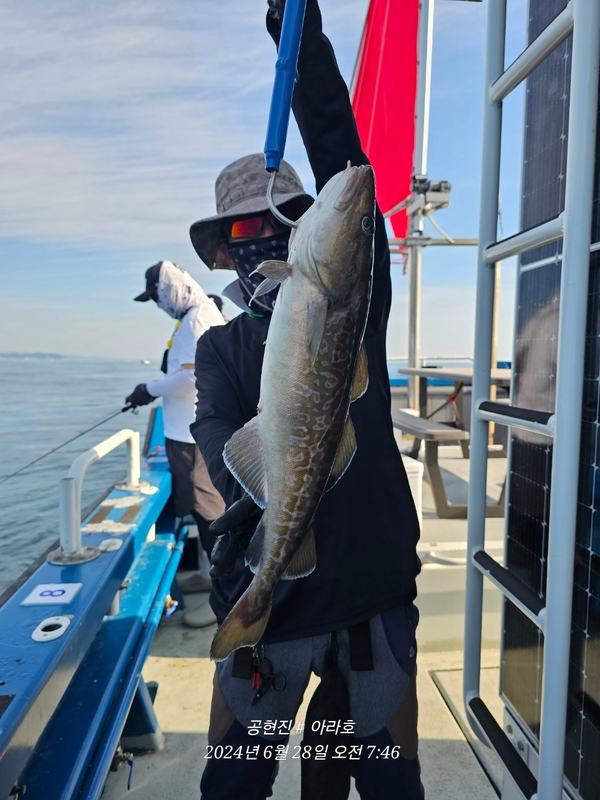 공현진아라호 의 조황일지 이미지 - 7