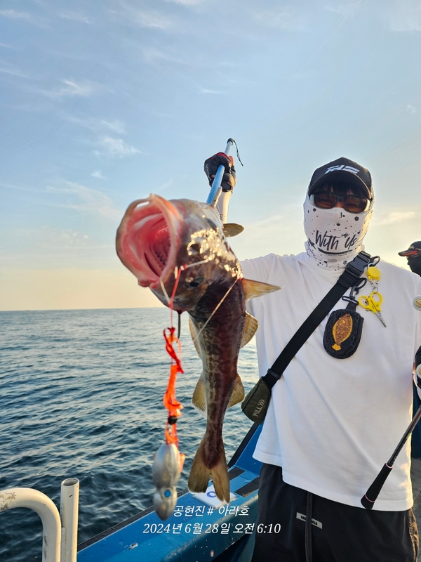 공현진아라호 의 조황일지 이미지 - 0