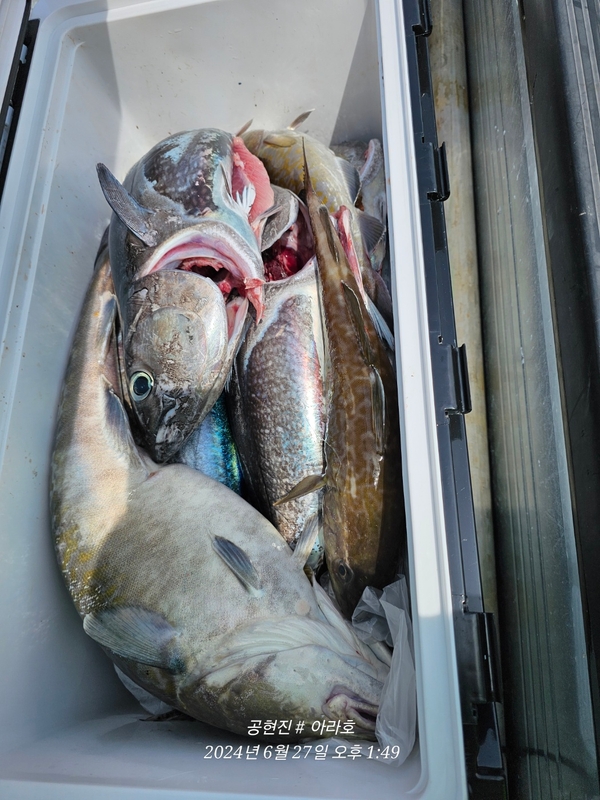 공현진아라호 의 조황일지 이미지 - 8