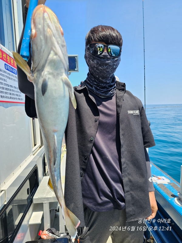 공현진아라호 의 조황일지 이미지 - 9