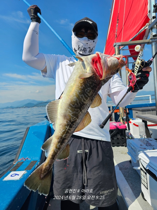 공현진아라호 의 조황일지 이미지 - 5