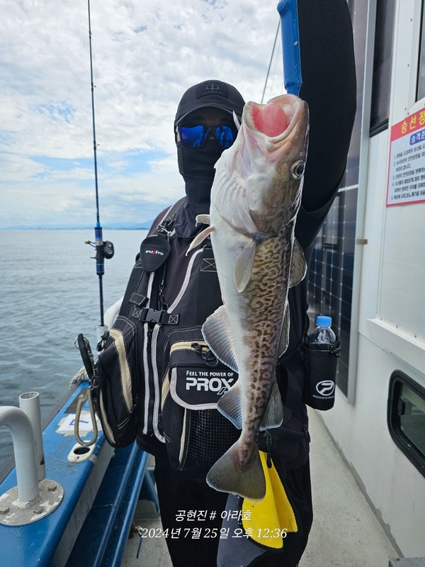 공현진아라호 의 조황일지 이미지 - 16