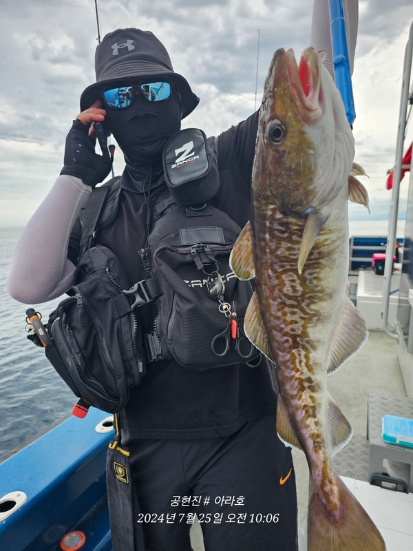 공현진아라호 의 조황일지 이미지 - 12