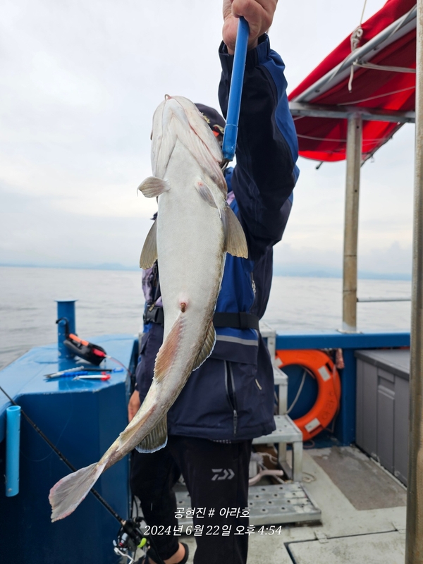 공현진아라호 의 조황일지 이미지 - 14