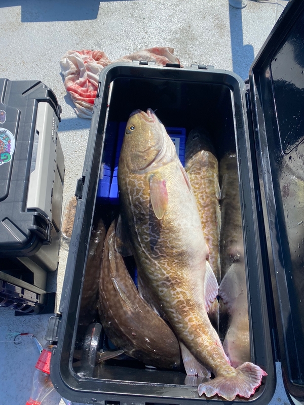 공현진아라호 의 조황일지 이미지 - 14