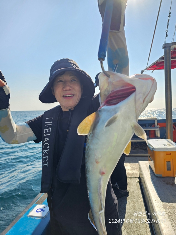 공현진아라호 의 조황일지 이미지 - 5