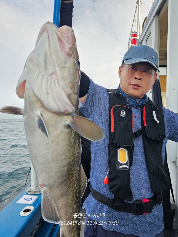 공현진아라호 의 조황일지 이미지 - 0