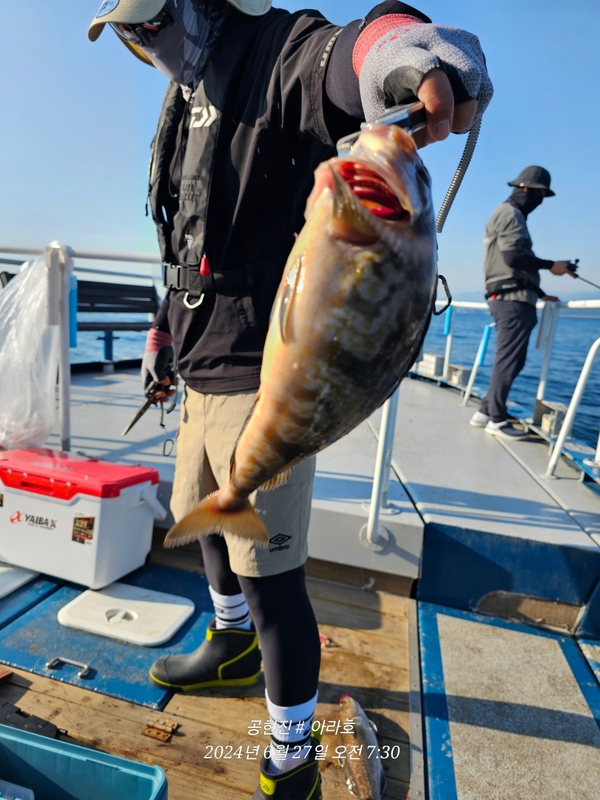 공현진아라호 의 조황일지 이미지 - 5