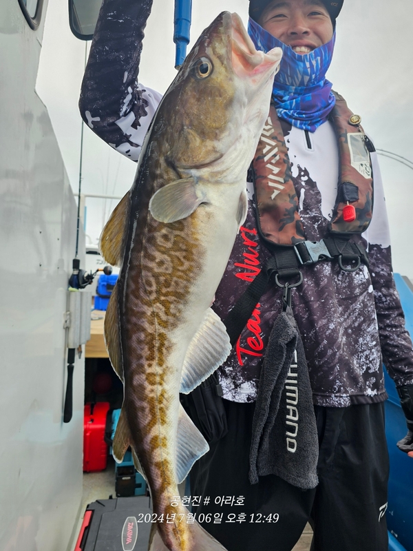 공현진아라호 의 조황일지 이미지 - 7