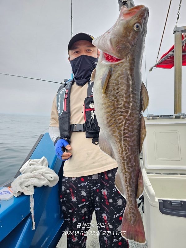 공현진아라호 의 조황일지 이미지 - 0