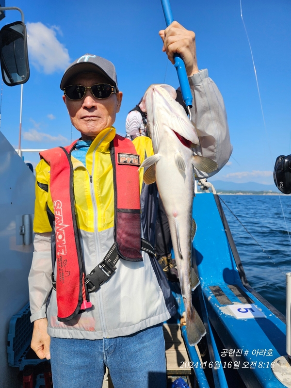 공현진아라호 의 조황일지 이미지 - 6