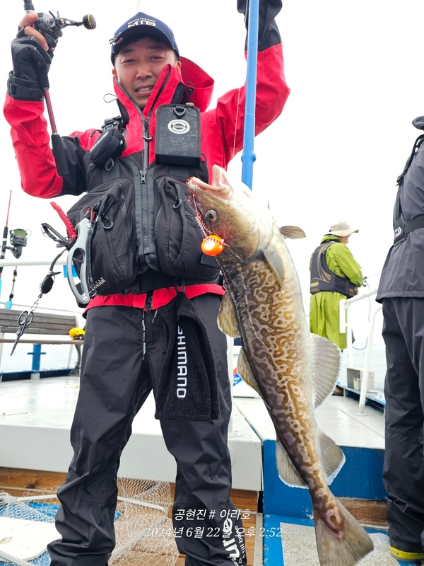 공현진아라호 의 조황일지 이미지 - 15