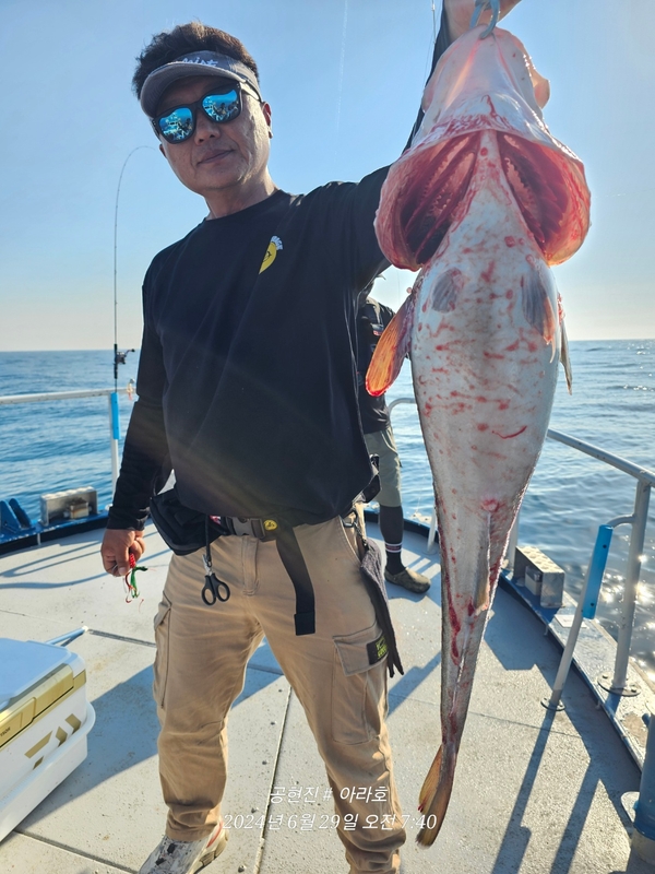 공현진아라호 의 조황일지 이미지 - 7