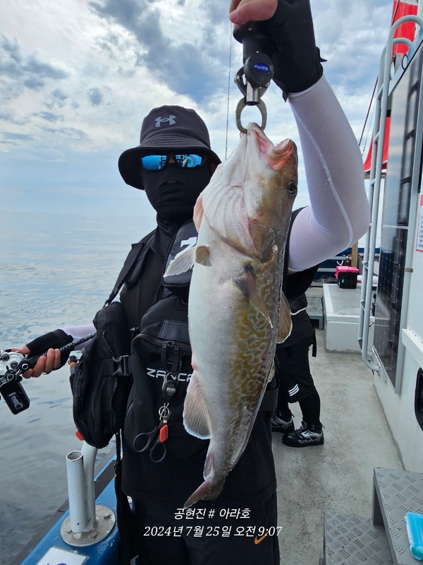 공현진아라호 의 조황일지 이미지 - 4