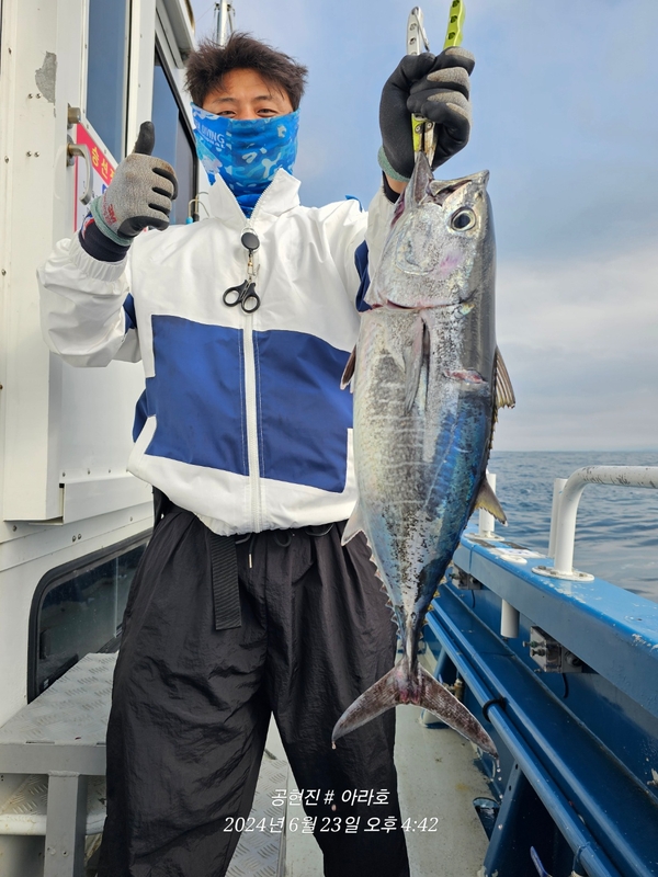 공현진아라호 의 조황일지 이미지 - 8