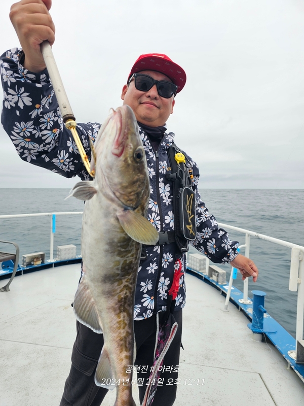 공현진아라호 의 조황일지 이미지 - 1