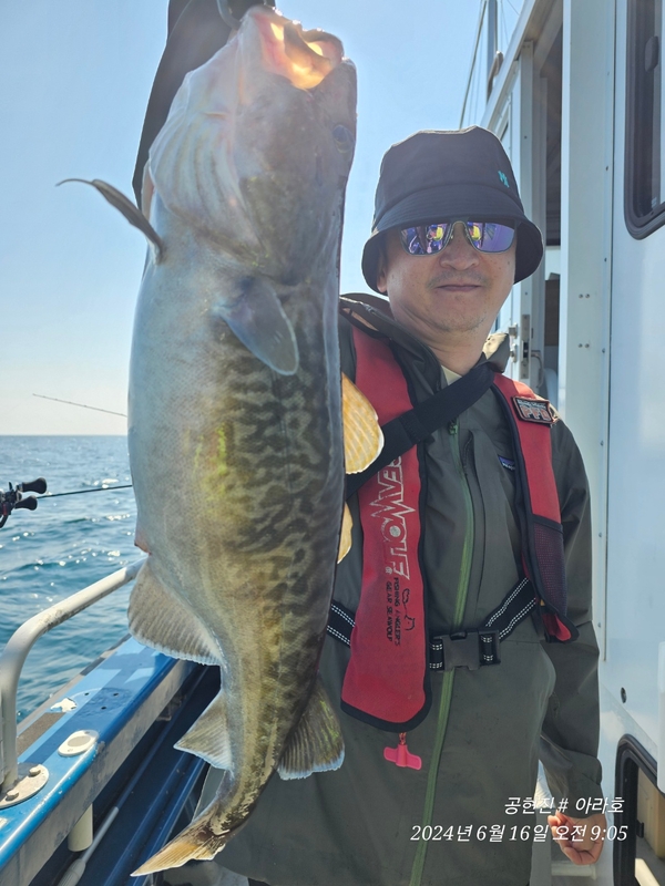 공현진아라호 의 조황일지 이미지 - 3