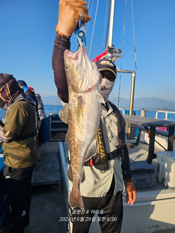 공현진아라호 의 조황일지 이미지 - 14