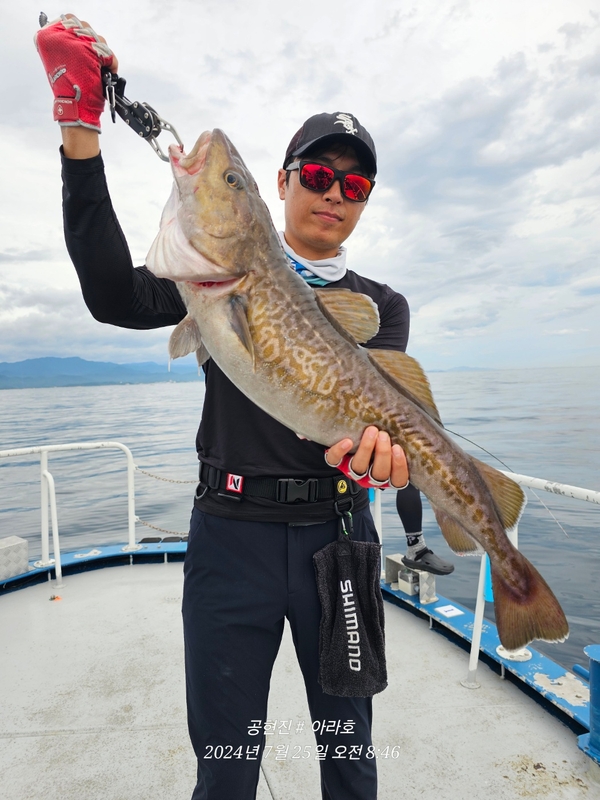 공현진아라호 의 조황일지 이미지 - 5