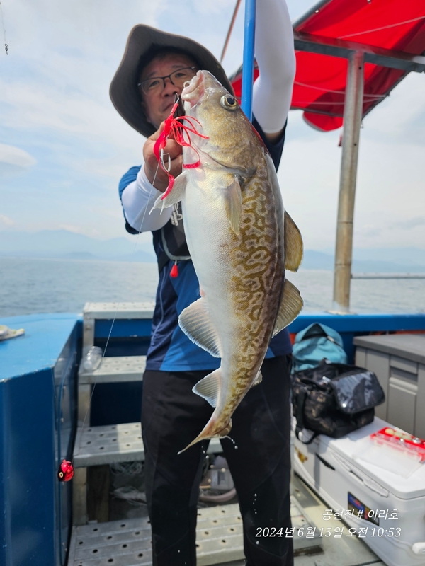 공현진아라호 의 조황일지 이미지 - 6