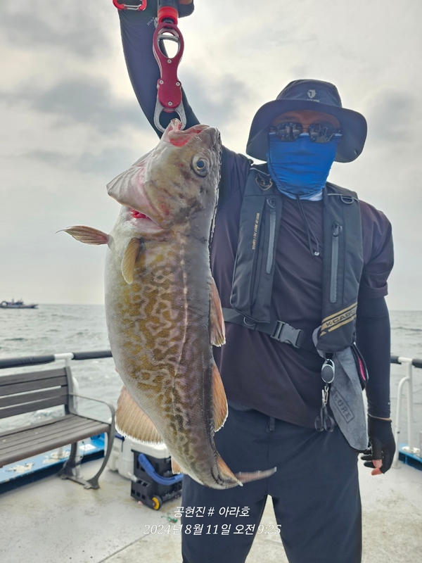 공현진아라호 의 조황일지 이미지 - 9