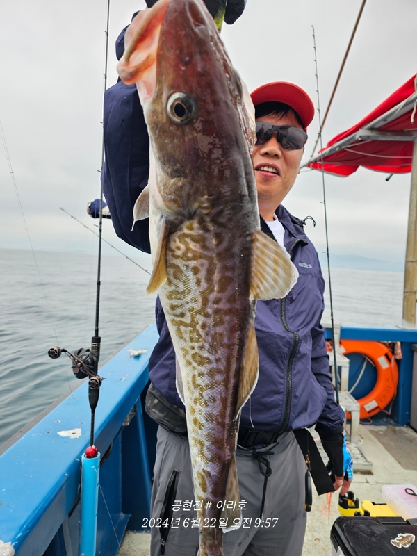 공현진아라호 의 조황일지 이미지 - 4