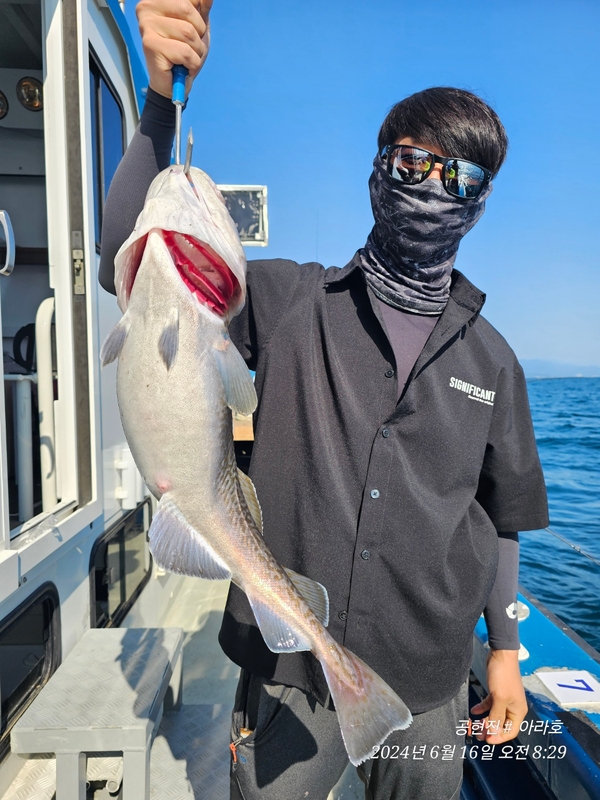 공현진아라호 의 조황일지 이미지 - 4