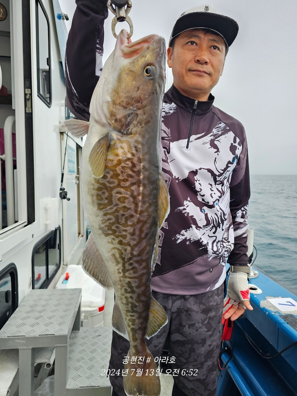 공현진아라호 의 조황일지 이미지 - 13