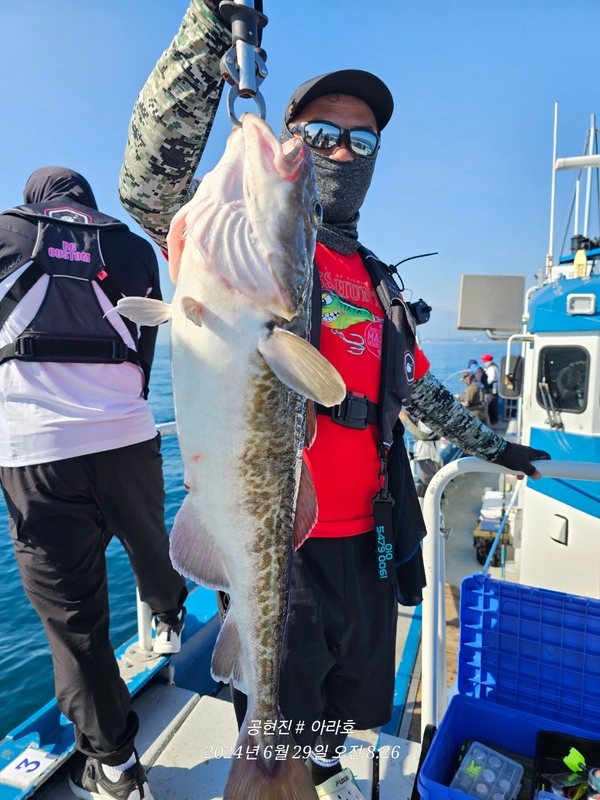 공현진아라호 의 조황일지 이미지 - 9