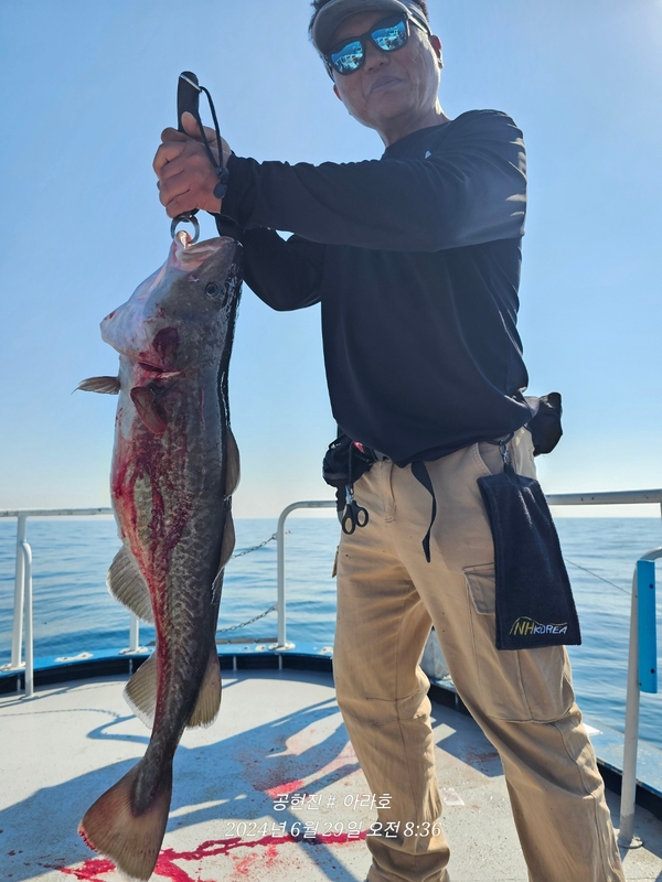 공현진아라호 의 조황일지 이미지 - 12