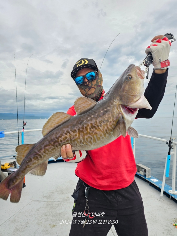 공현진아라호 의 조황일지 이미지 - 6