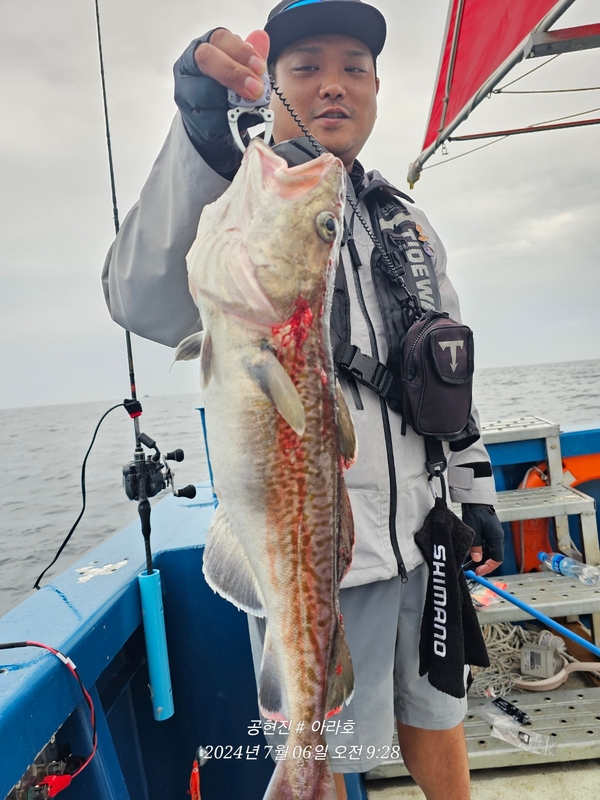 공현진아라호 의 조황일지 이미지 - 13