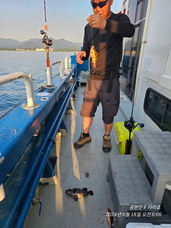 공현진아라호 의 조황일지 이미지 - 2