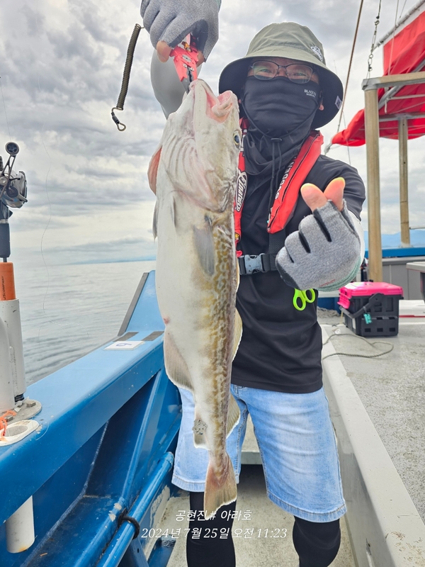 공현진아라호 의 조황일지 이미지 - 14