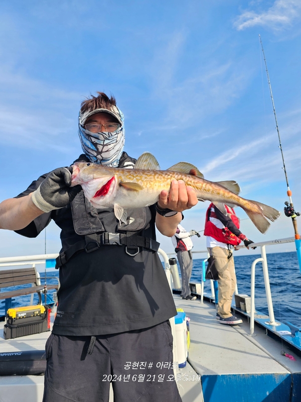 공현진아라호 의 조황일지 이미지 - 18