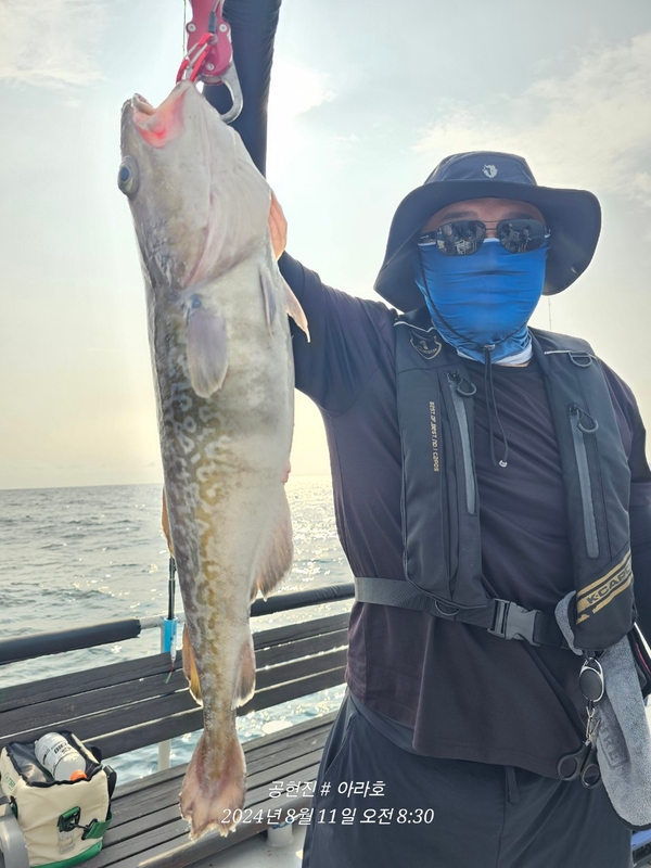 공현진아라호 의 조황일지 이미지 - 5