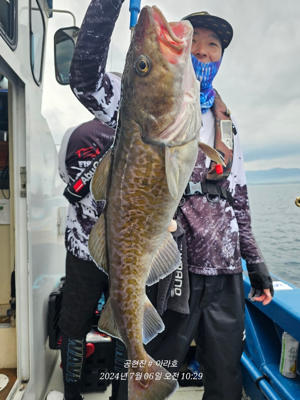 공현진아라호 의 조황일지 이미지 - 5