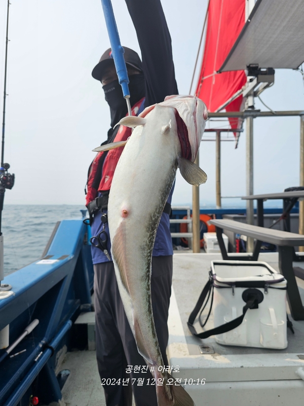 공현진아라호 의 조황일지 이미지 - 0