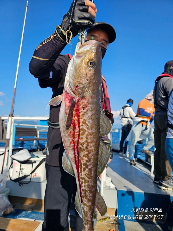 공현진아라호 의 조황일지 이미지 - 13