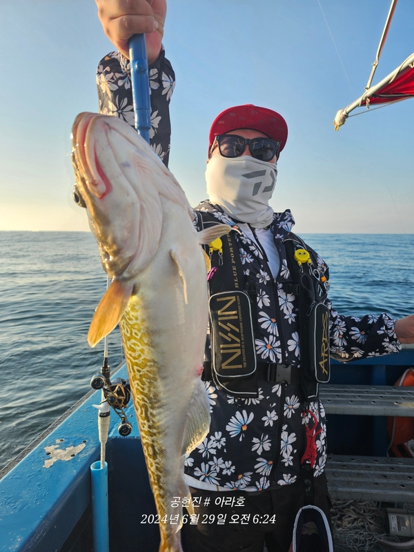 공현진아라호 의 조황일지 이미지 - 5