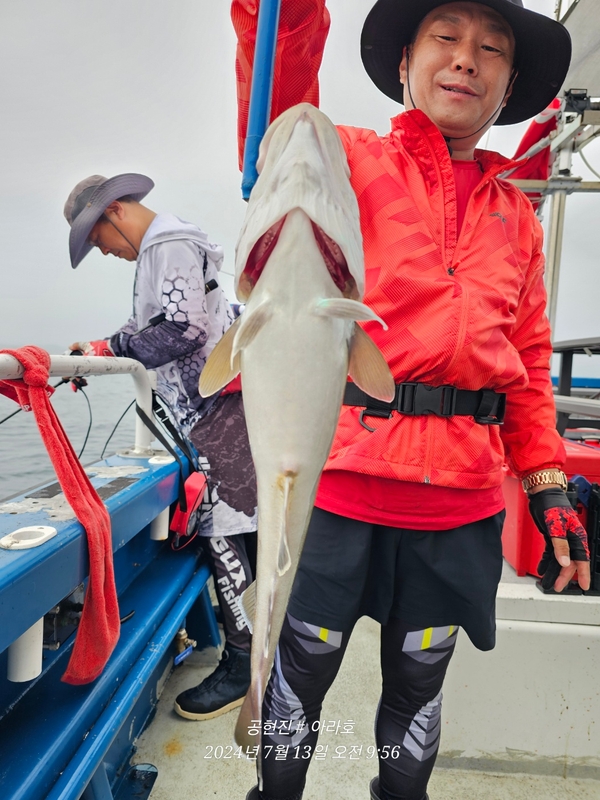 공현진아라호 의 조황일지 이미지 - 7