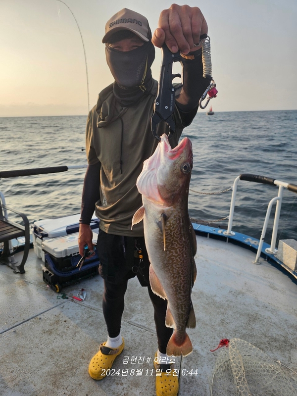 공현진아라호 의 조황일지 이미지 - 7