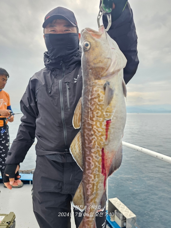 공현진아라호 의 조황일지 이미지 - 1