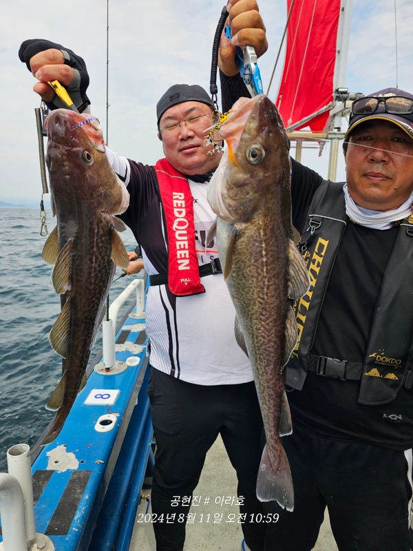 공현진아라호 의 조황일지 이미지 - 14