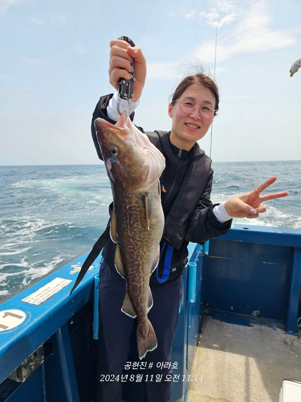 공현진아라호 의 조황일지 이미지 - 19