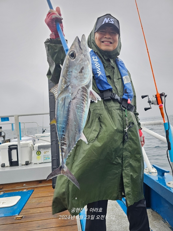 공현진아라호 의 조황일지 이미지 - 2