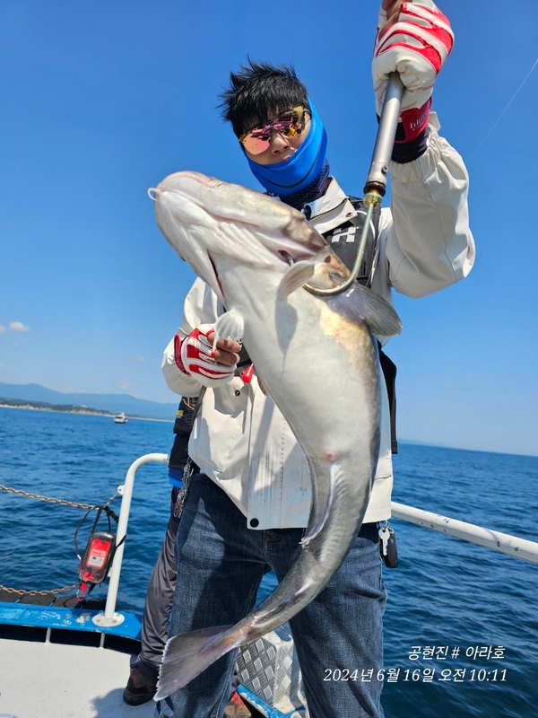 공현진아라호 의 조황일지 이미지 - 0