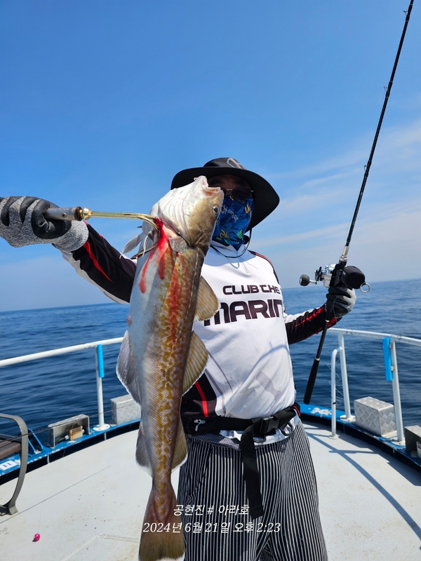 공현진아라호 의 조황일지 이미지 - 16