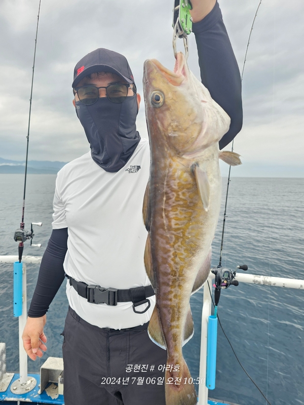 공현진아라호 의 조황일지 이미지 - 4