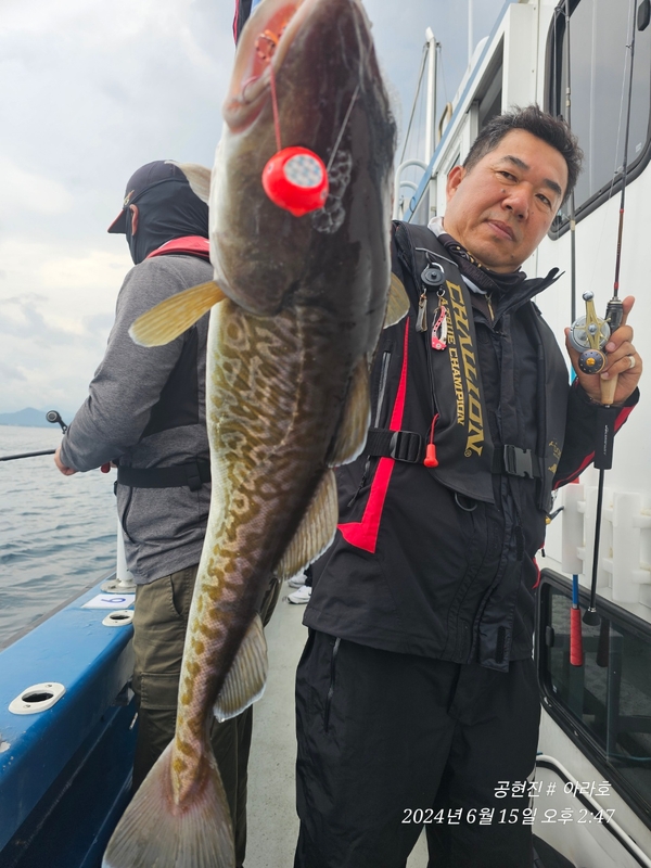 공현진아라호 의 조황일지 이미지 - 7